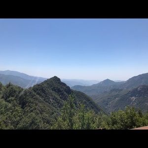 Meet your Posher, Hazel